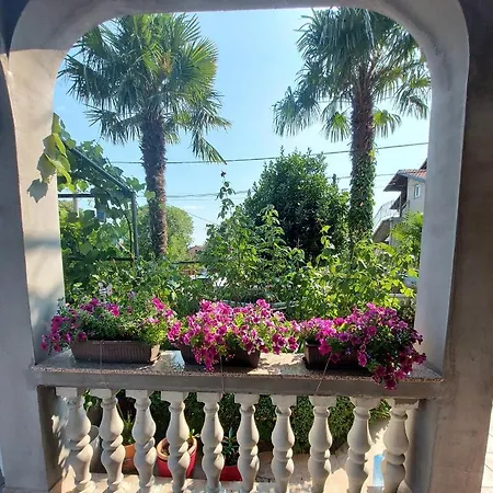 Palma *