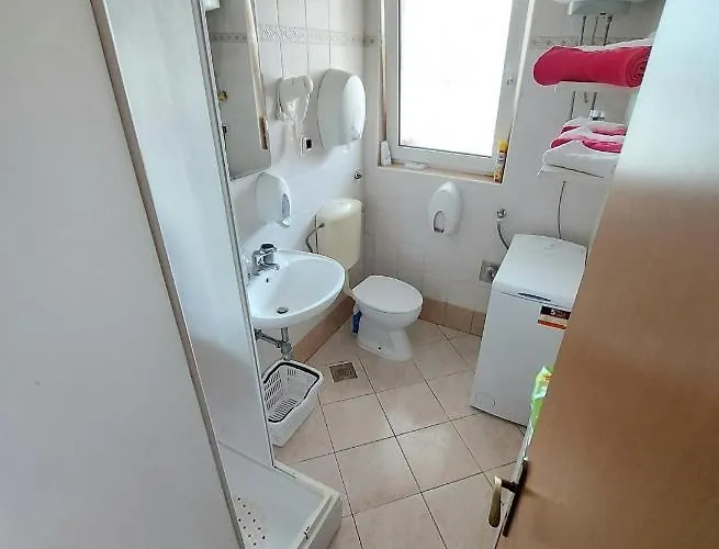 Palma Marinici (Primorsko-Goranska)