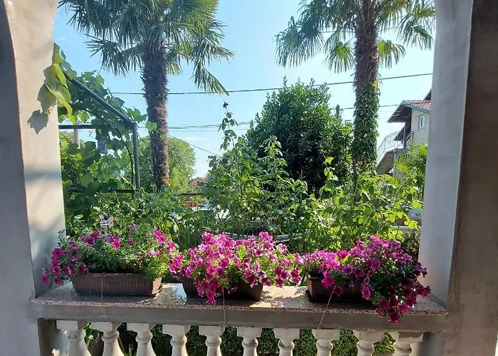 Palma *