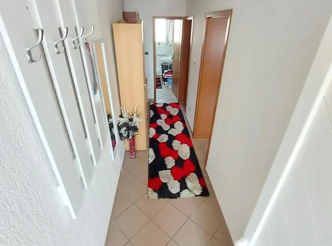 Palma Daire Marinici (Primorsko-Goranska)